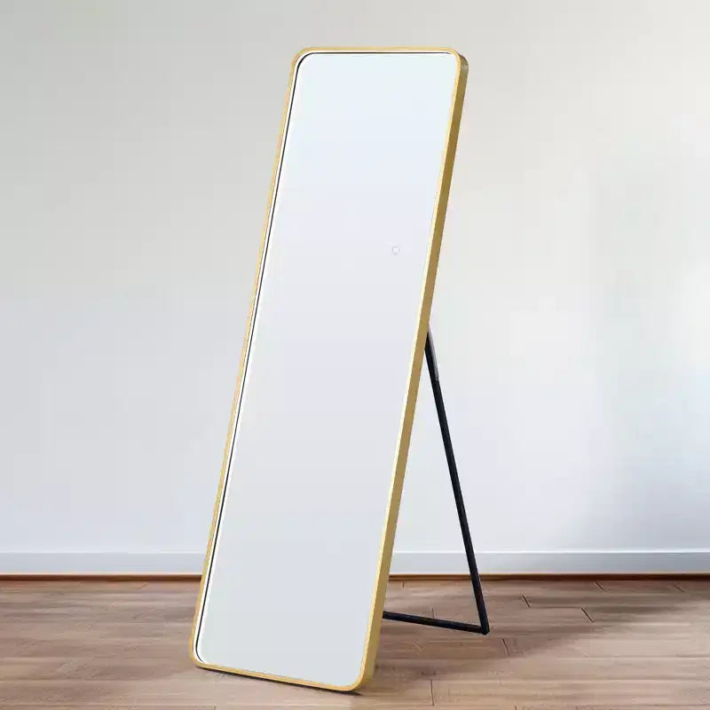 Specchio da terra moderno con angoli arrotondati 64*17 pollici, specchio a figura intera multifunzione con foro per appendere, specchio da parete per spogliatoio, soggiorno