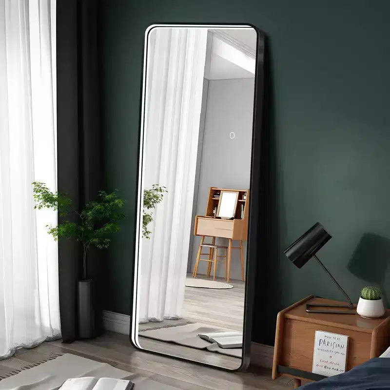 Specchio da terra moderno con angoli arrotondati 64*17 pollici, specchio a figura intera multifunzione con foro per appendere, specchio da parete per spogliatoio, soggiorno