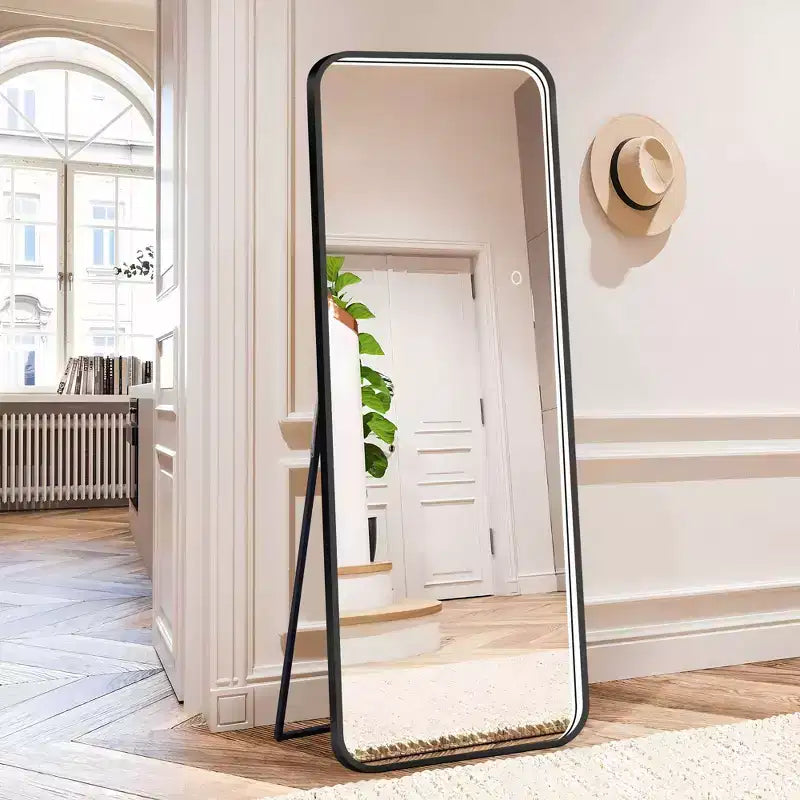 Specchio da terra moderno con angoli arrotondati 64*17 pollici, specchio a figura intera multifunzione con foro per appendere, specchio da parete per spogliatoio, soggiorno