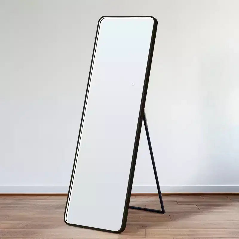 Specchio da terra moderno con angoli arrotondati 64*17 pollici, specchio a figura intera multifunzione con foro per appendere, specchio da parete per spogliatoio, soggiorno