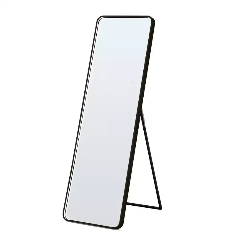 Specchio da terra moderno con angoli arrotondati 64*17 pollici, specchio a figura intera multifunzione con foro per appendere, specchio da parete per spogliatoio, soggiorno
